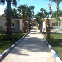 фото из отзыва ID 295730