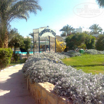 фото из отзыва ID 295730