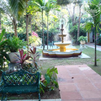 фото из отзыва ID 295732