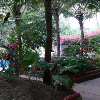 фото из отзыва ID 295820