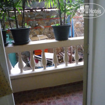 фото из отзыва ID 296044