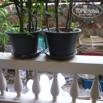 фото из отзыва ID 296044