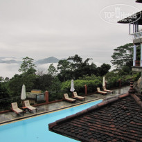 фото из отзыва ID 296301