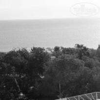 фото из отзыва ID 296448