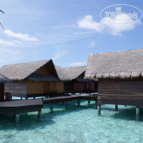 фото из отзыва ID 296676