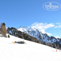 фото из отзыва ID 296815