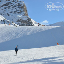 фото из отзыва ID 296815