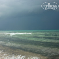 фото из отзыва ID 296830