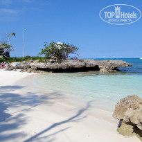 фото из отзыва ID 296899