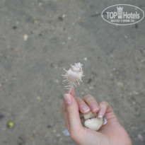 фото из отзыва ID 296945