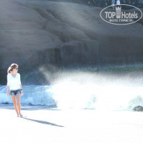 фото из отзыва ID 296985