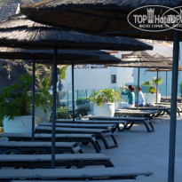 фото из отзыва ID 297234