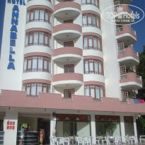 фото из отзыва ID 297267