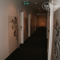 фото из отзыва ID 297443