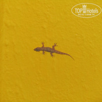 фото из отзыва ID 297630