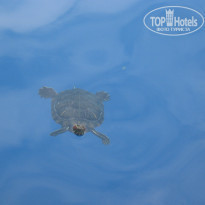 фото из отзыва ID 297786