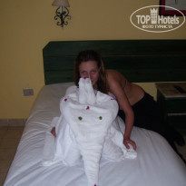 фото из отзыва ID 297924