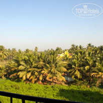 фото из отзыва ID 298012