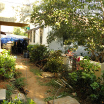 фото из отзыва ID 298271