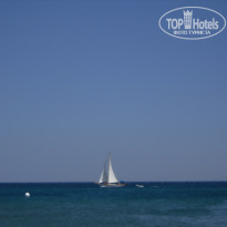 фото из отзыва ID 298466