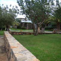 фото из отзыва ID 298469