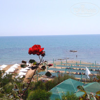 фото из отзыва ID 298560