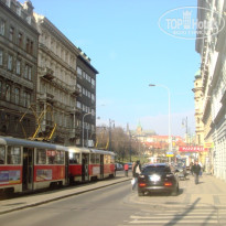 фото из отзыва ID 298889