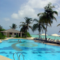 фото из отзыва ID 298994