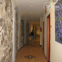 фото из отзыва ID 298967