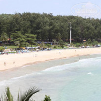 фото из отзыва ID 298287