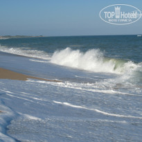 фото из отзыва ID 299035