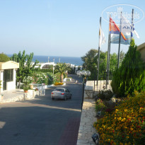 фото из отзыва ID 299037