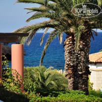 фото из отзыва ID 299117