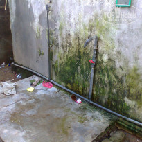 фото из отзыва ID 299169