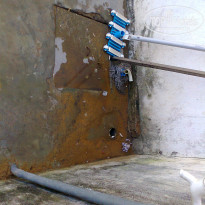 фото из отзыва ID 299169