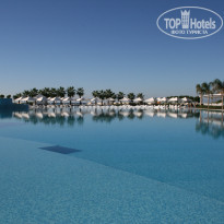 фото из отзыва ID 299242