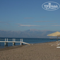 фото из отзыва ID 299242