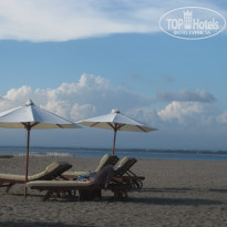 фото из отзыва ID 299709