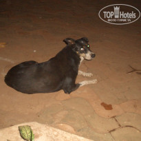 фото из отзыва ID 299719