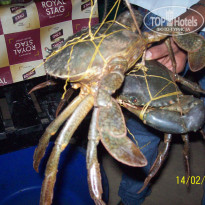 фото из отзыва ID 299864