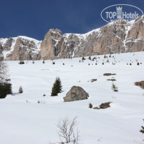 фото из отзыва ID 300061