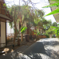 фото из отзыва ID 300067