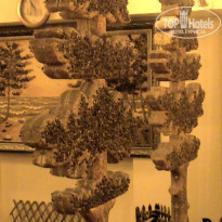 фото из отзыва ID 300107