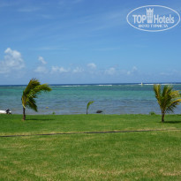 фото из отзыва ID 300114