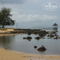 фото из отзыва ID 300114