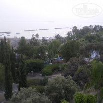 фото из отзыва ID 300262