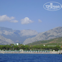 фото из отзыва ID 300337