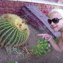 фото из отзыва ID 300489