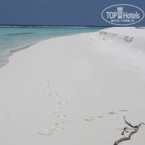 фото из отзыва ID 300494