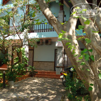 фото из отзыва ID 300872